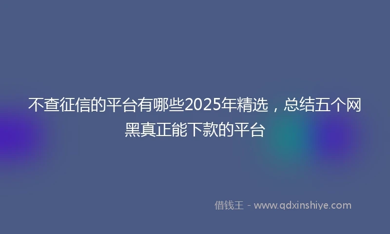 不查征信的平台有哪些2025年精选，总结五个网黑真正能下款的平台