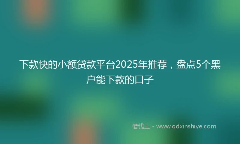 下款快的小额贷款平台2025年推荐，盘点5个黑户能下款的口子