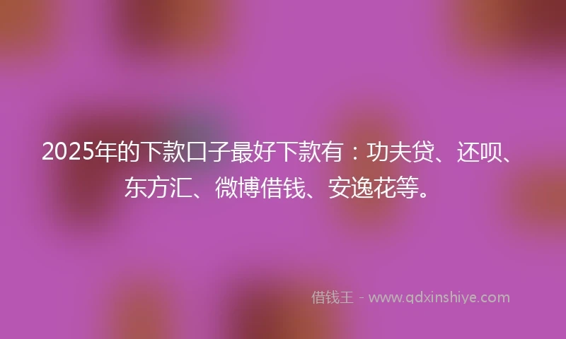 2025年的下款口子最好下款有：功夫贷、还呗、东方汇、微博借钱、安逸花等。