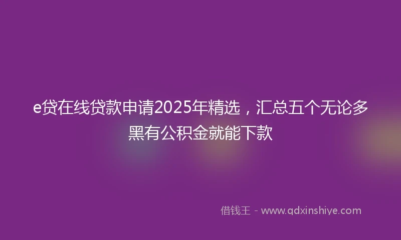 e贷在线贷款申请2025年精选，汇总五个无论多黑有公积金就能下款