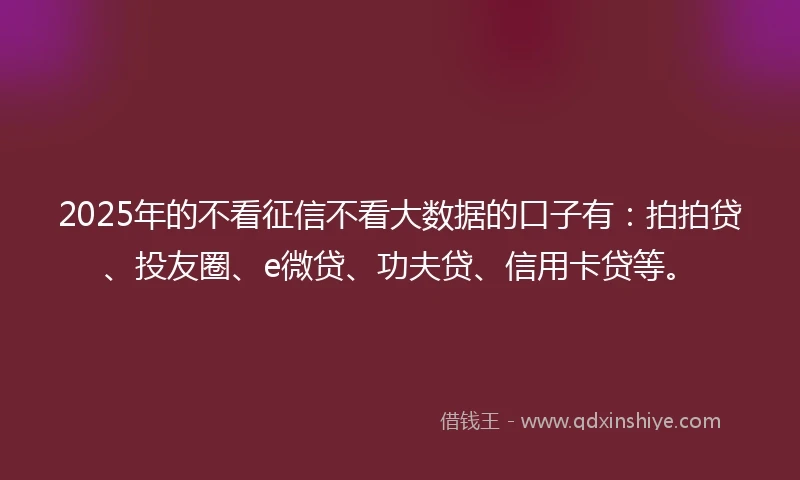 2025年的不看征信不看大数据的口子有：拍拍贷、投友圈、e微贷、功夫贷、信用卡贷等。