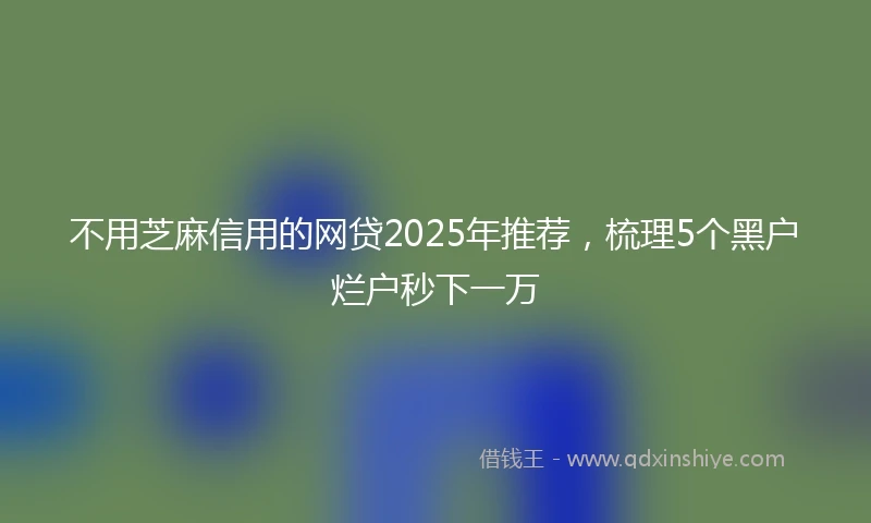 不用芝麻信用的网贷2025年推荐，梳理5个黑户烂户秒下一万
