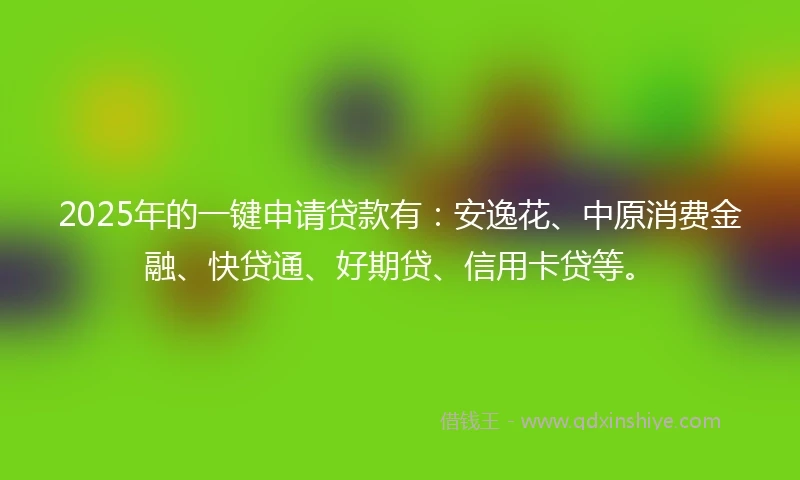 2025年的一键申请贷款有：安逸花、中原消费金融、快贷通、好期贷、信用卡贷等。