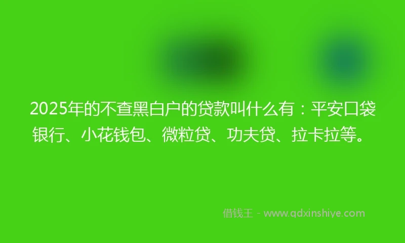 2025年的不查黑白户的贷款叫什么有：平安口袋银行、小花钱包、微粒贷、功夫贷、拉卡拉等。