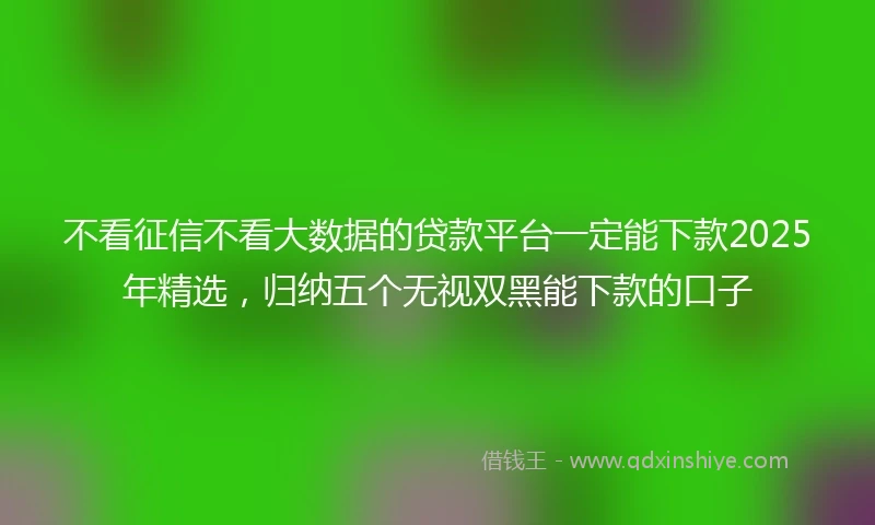 不看征信不看大数据的贷款平台一定能下款2025年精选，归纳五个无视双黑能下款的口子