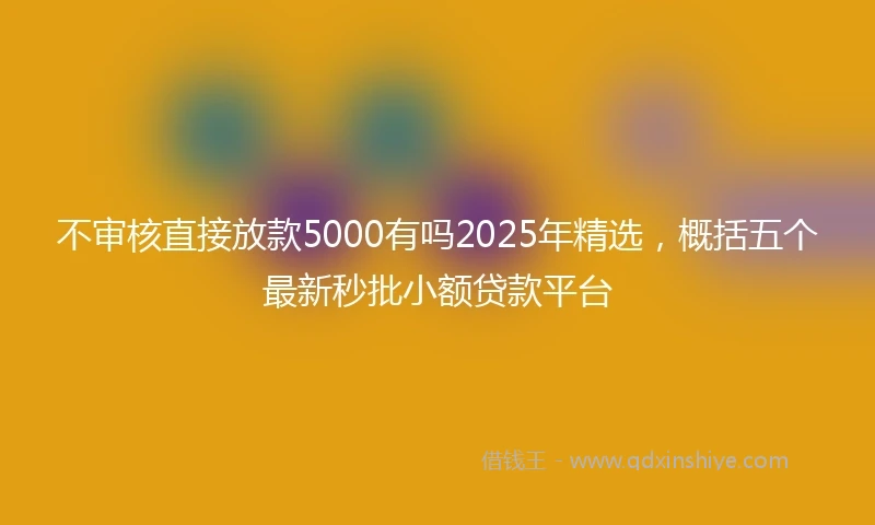 不审核直接放款5000有吗2025年精选，概括五个最新秒批小额贷款平台