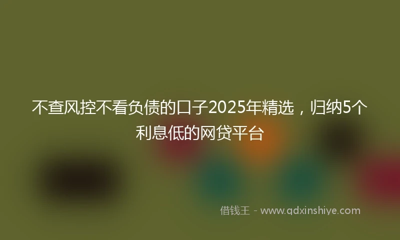 不查风控不看负债的口子2025年精选，归纳5个利息低的网贷平台