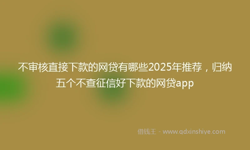 不审核直接下款的网贷有哪些2025年推荐，归纳五个不查征信好下款的网贷app