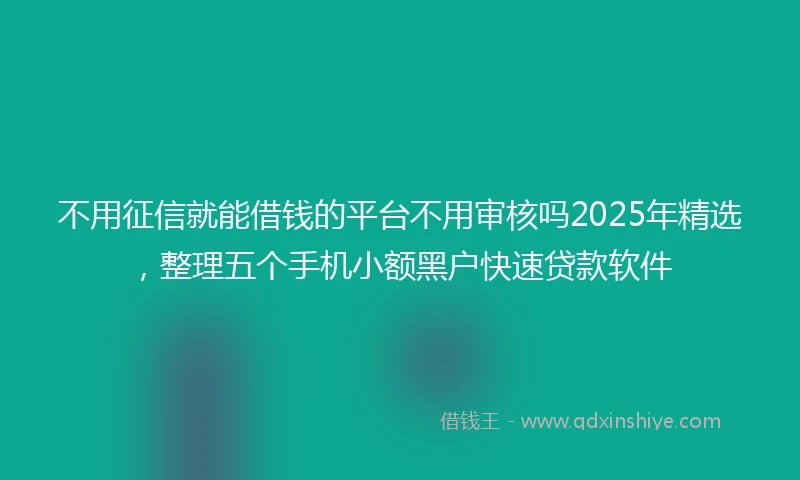 不用征信就能借钱的平台不用审核吗2025年精选，整理五个手机小额黑户快速贷款软件