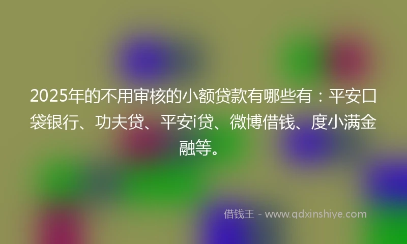 2025年的不用审核的小额贷款有哪些有：平安口袋银行、功夫贷、平安i贷、微博借钱、度小满金融等。