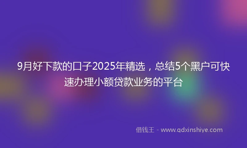 9月好下款的口子2025年精选，总结5个黑户可快速办理小额贷款业务的平台