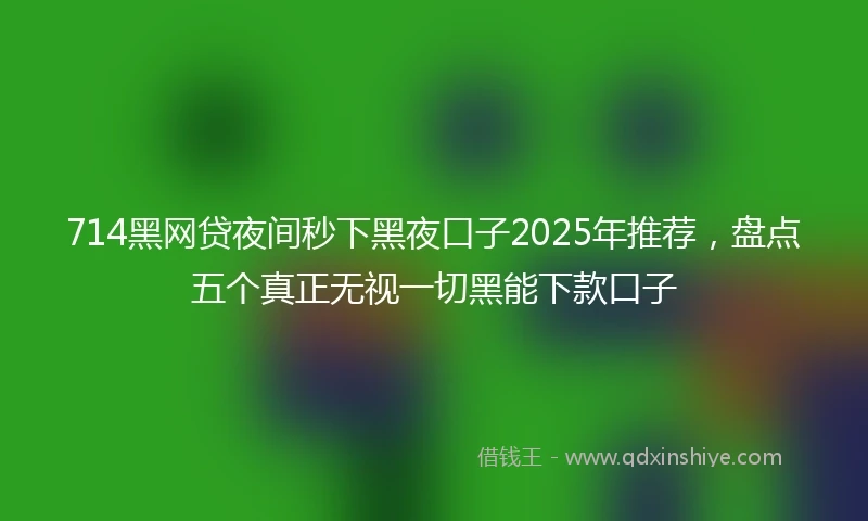 714黑网贷夜间秒下黑夜口子2025年推荐，盘点五个真正无视一切黑能下款口子