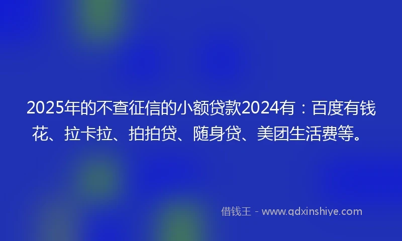 2025年的不查征信的小额贷款2024有：百度有钱花、拉卡拉、拍拍贷、随身贷、美团生活费等。