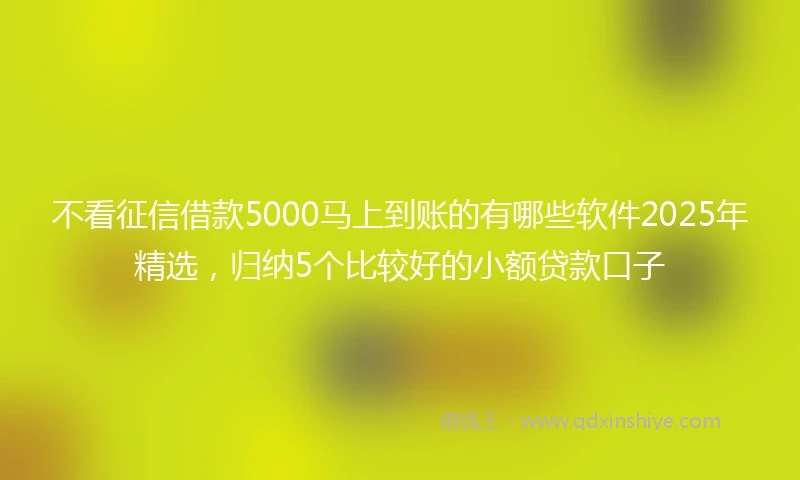 不看征信借款5000马上到账的有哪些软件2025年精选,归纳5个比较好的小额贷款口子