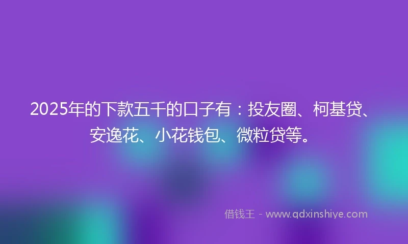 2025年的下款五千的口子有：投友圈、柯基贷、安逸花、小花钱包、微粒贷等。