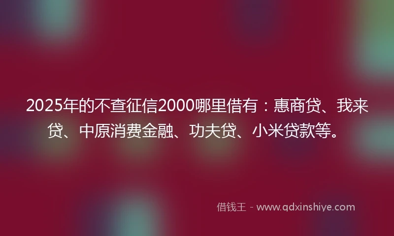 2025年的不查征信2000哪里借有：惠商贷、我来贷、中原消费金融、功夫贷、小米贷款等。