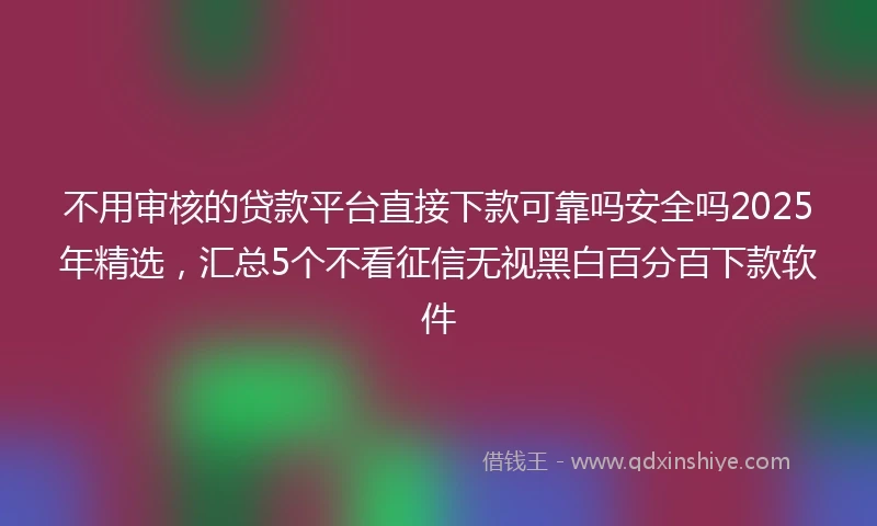 不用审核的贷款平台直接下款可靠吗安全吗2025年精选，汇总5个不看征信无视黑白百分百下款软件