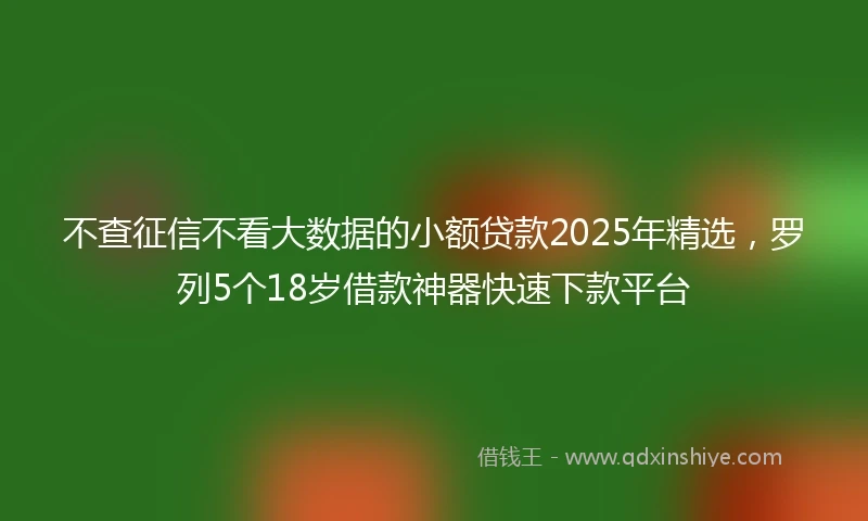 不查征信不看大数据的小额贷款2025年精选，罗列5个18岁借款神器快速下款平台