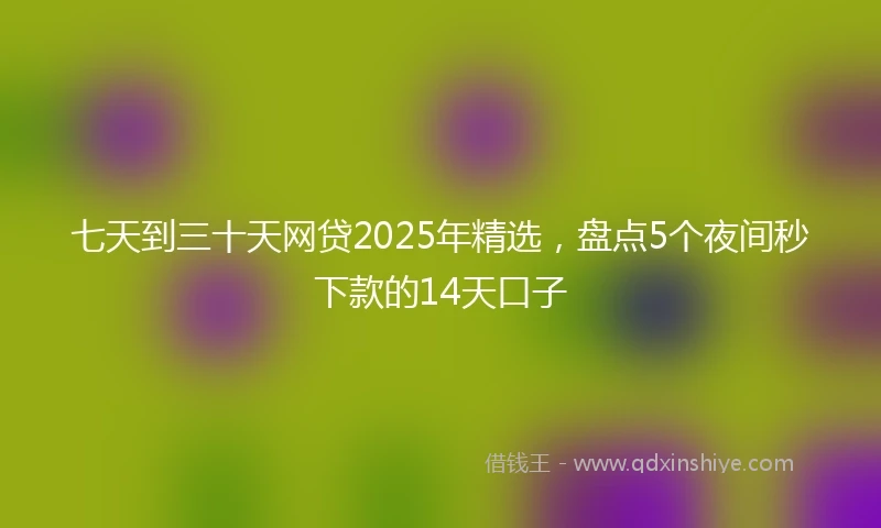 七天到三十天网贷2025年精选，盘点5个夜间秒下款的14天口子