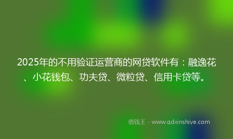 2025年的不用验证运营商的网贷软件有：融逸花、小花钱包、功夫贷、微粒贷、信用卡贷等。