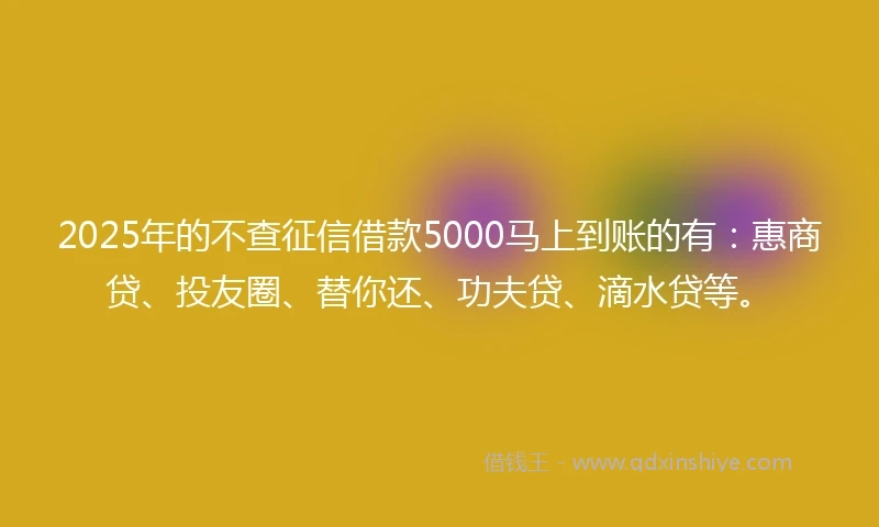 2025年的不查征信借款5000马上到账的有：惠商贷、投友圈、替你还、功夫贷、滴水贷等。