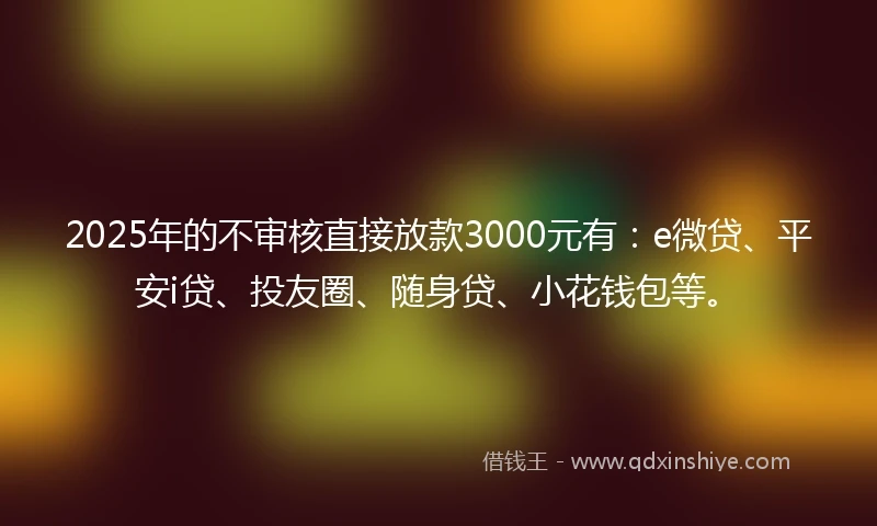 2025年的不审核直接放款3000元有：e微贷、平安i贷、投友圈、随身贷、小花钱包等。