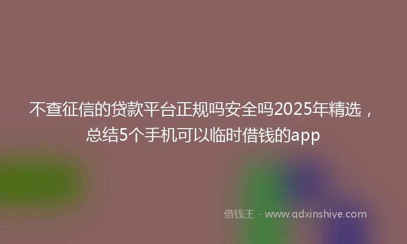 不查征信的贷款平台正规吗安全吗2025年精选，总结5个手机可以临时借钱的app