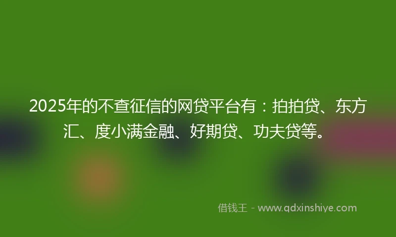 2025年的不查征信的网贷平台有：拍拍贷、东方汇、度小满金融、好期贷、功夫贷等。
