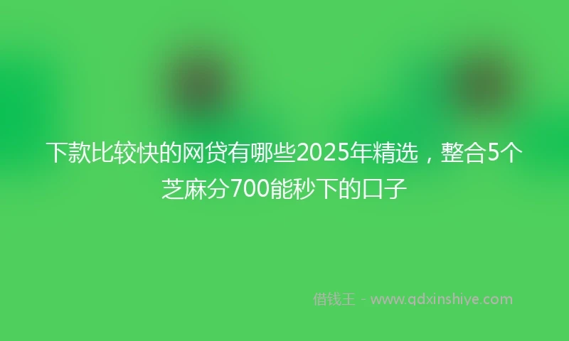 下款比较快的网贷有哪些2025年精选，整合5个芝麻分700能秒下的口子