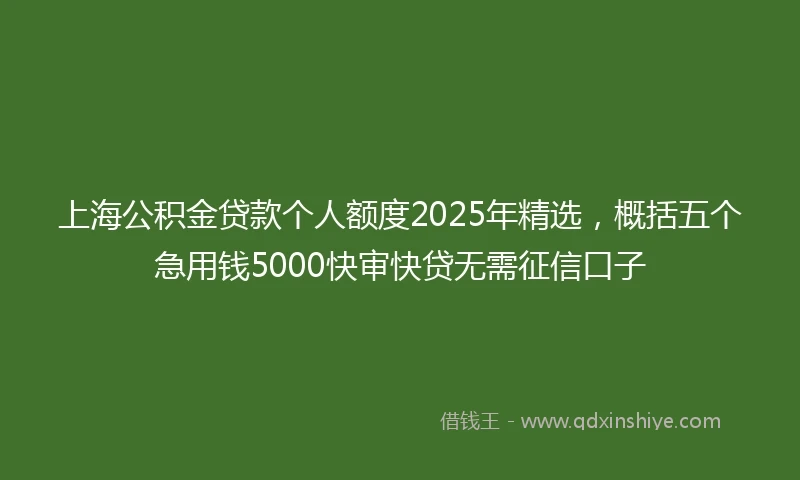 上海公积金贷款个人额度2025年精选，概括五个急用钱5000快审快贷无需征信口子