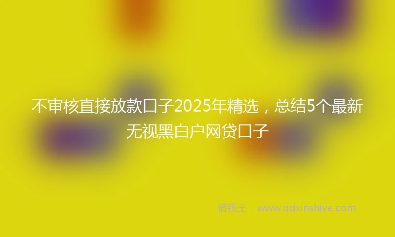 不审核直接放款口子2025年精选，总结5个最新无视黑白户网贷口子