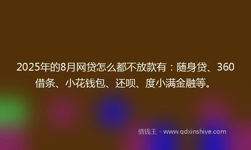 2025年的8月网贷怎么都不放款有：随身贷、360借条、小花钱包、还呗、度小满金融等。