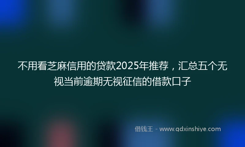 不用看芝麻信用的贷款2025年推荐，汇总五个无视当前逾期无视征信的借款口子