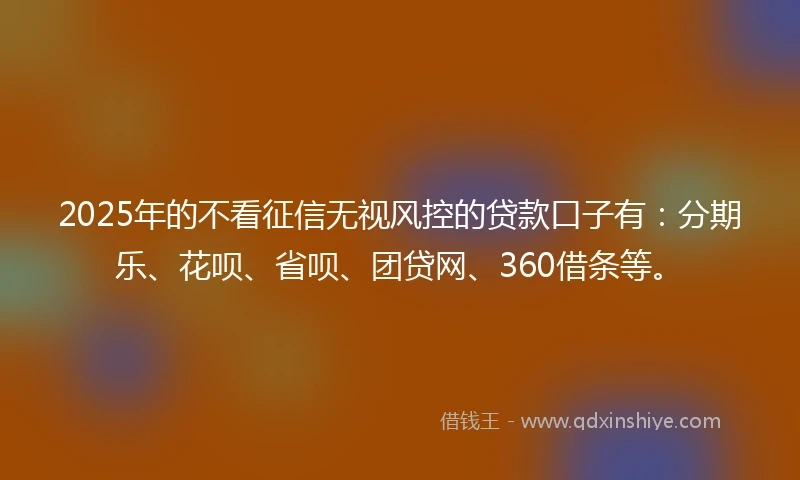 2025年的不看征信无视风控的贷款口子有：分期乐、花呗、省呗、团贷网、360借条等。