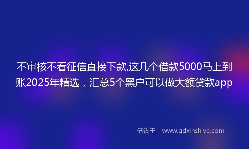 不审核不看征信直接下款,这几个借款5000马上到账2025年精选，汇总5个黑户可以做大额贷款app