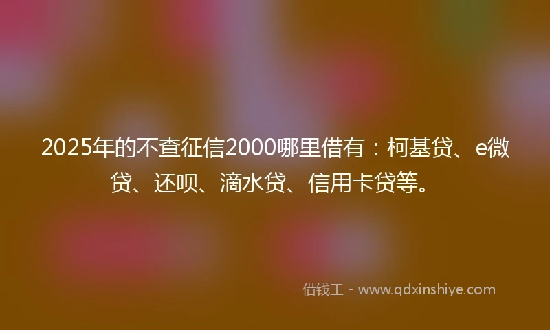2025年的不查征信2000哪里借有：柯基贷、e微贷、还呗、滴水贷、信用卡贷等。