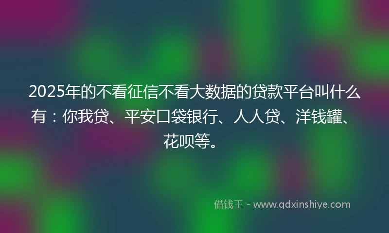 2025年的不看征信不看大数据的贷款平台叫什么有：你我贷、平安口袋银行、人人贷、洋钱罐、花呗等。