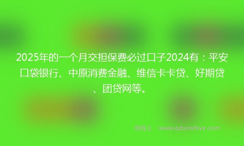 2025年的一个月交担保费必过口子2024有：平安口袋银行、中原消费金融、维信卡卡贷、好期贷、团贷网等。