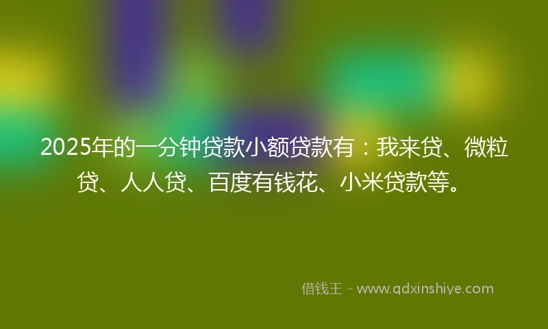 2025年的一分钟贷款小额贷款有：我来贷、微粒贷、人人贷、百度有钱花、小米贷款等。