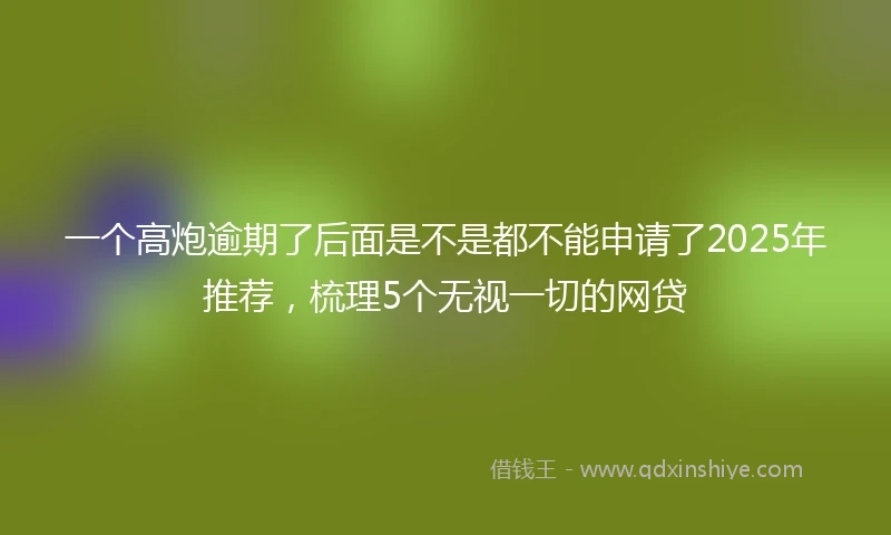 一个高炮逾期了后面是不是都不能申请了2025年推荐，梳理5个无视一切的网贷
