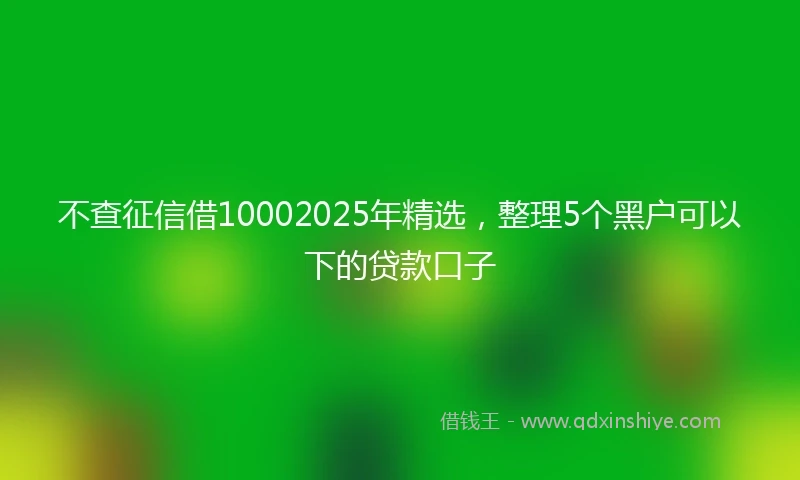 不查征信借10002025年精选,整理5个黑户可以下的贷款口子
