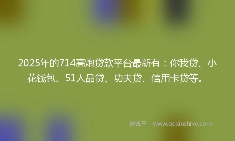 2025年的714高炮贷款平台最新有：你我贷、小花钱包、51人品贷、功夫贷、信用卡贷等。