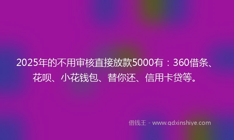 2025年的不用审核直接放款5000有：360借条、花呗、小花钱包、替你还、信用卡贷等。