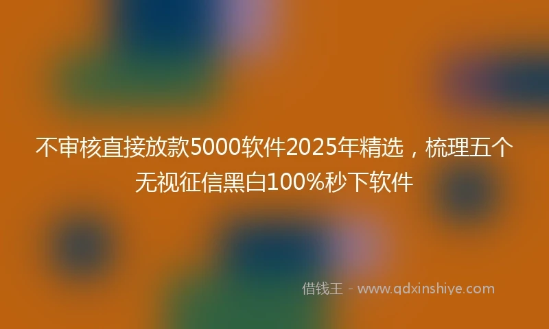 不审核直接放款5000软件2025年精选，梳理五个无视征信黑白100%秒下软件
