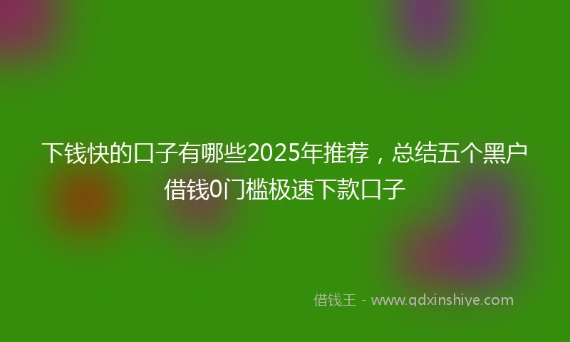下钱快的口子有哪些2025年推荐,总结五个黑户借钱0门槛极速下款口子