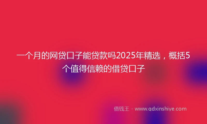 一个月的网贷口子能贷款吗2025年精选，概括5个值得信赖的借贷口子