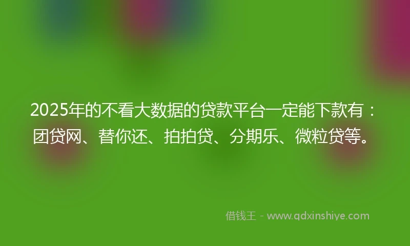 2025年的不看大数据的贷款平台一定能下款有：团贷网、替你还、拍拍贷、分期乐、微粒贷等。