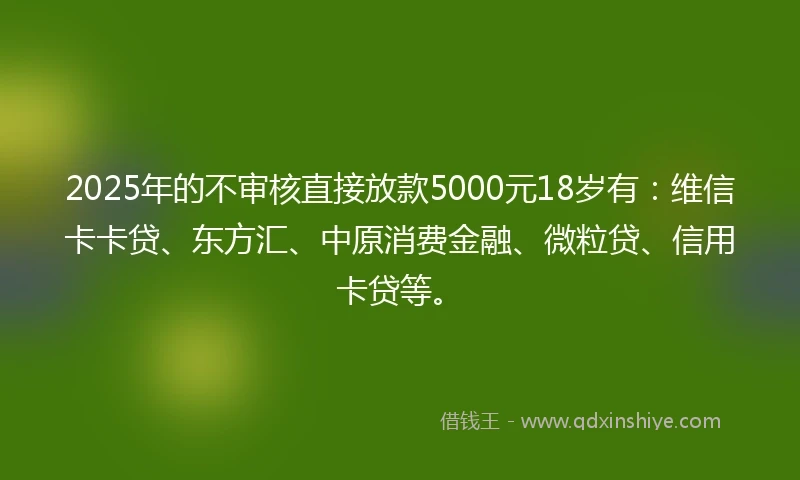 2025年的不审核直接放款5000元18岁有：维信卡卡贷、东方汇、中原消费金融、微粒贷、信用卡贷等。