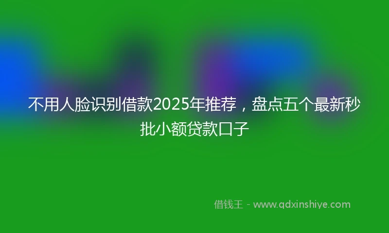不用人脸识别借款2025年推荐，盘点五个最新秒批小额贷款口子