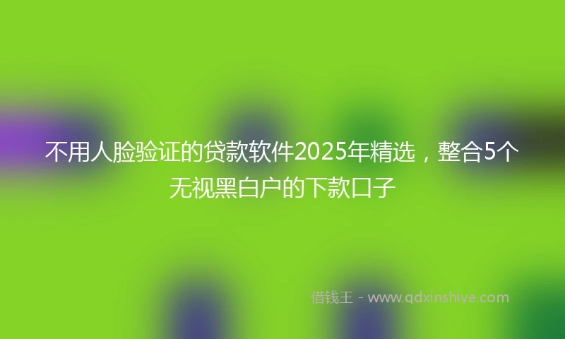 不用人脸验证的贷款软件2025年精选，整合5个无视黑白户的下款口子